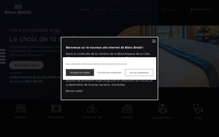 Screenshot of blanchisserie-armor.fr