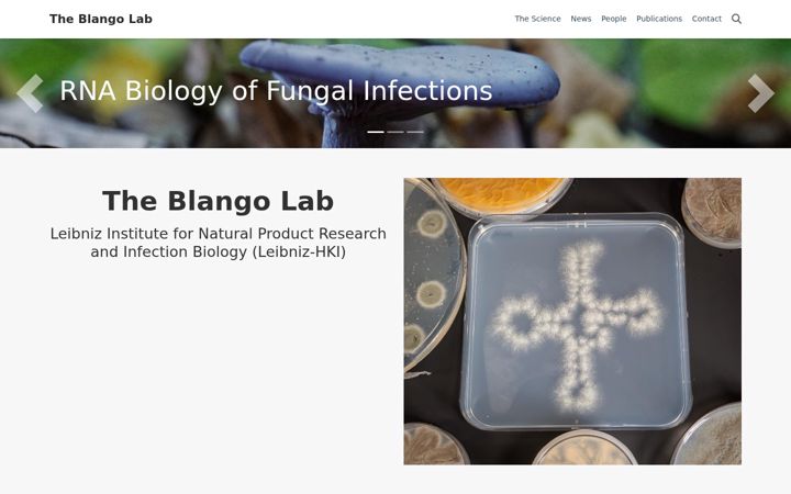 Screenshot of blangolab.com