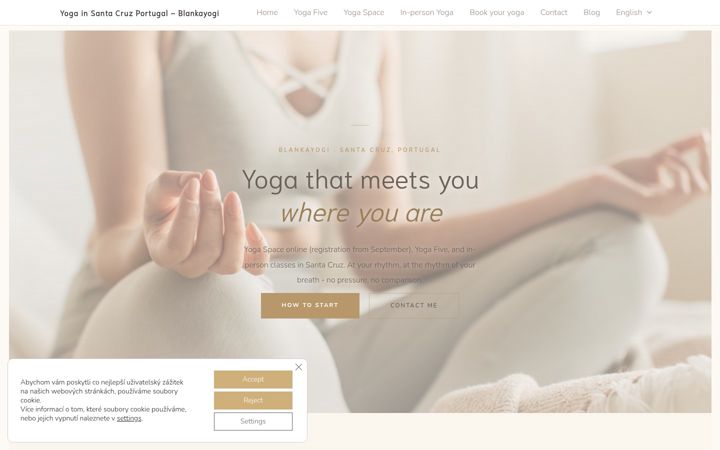 Screenshot of blankayogi.com