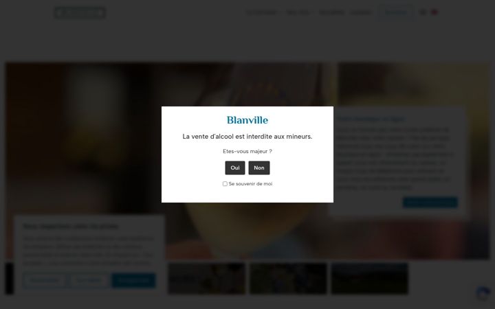 Screenshot of blanville.com