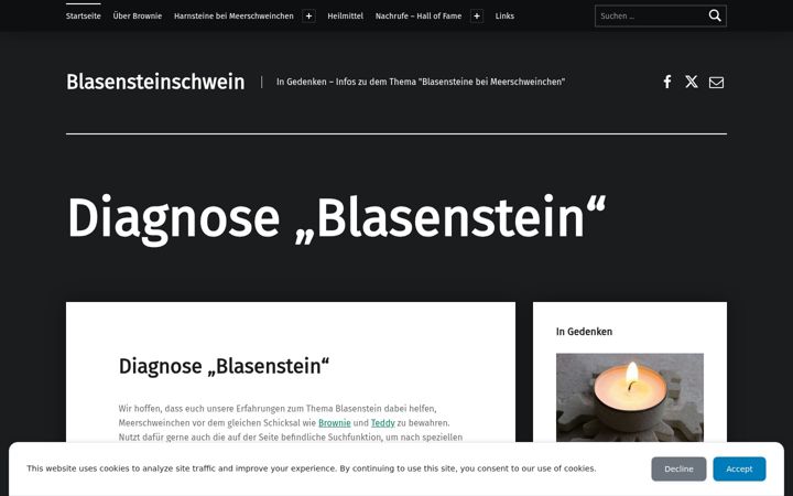 Screenshot of blasensteinschwein.de