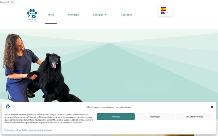 Screenshot of blasivet.com