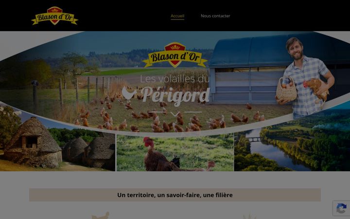 Screenshot van blasondor.com