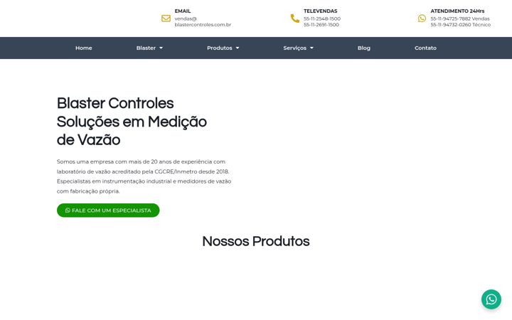 Екранна снимка на blastercontroles.com.br