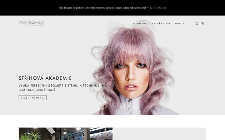 Screenshot von blatnyzavadil.cz