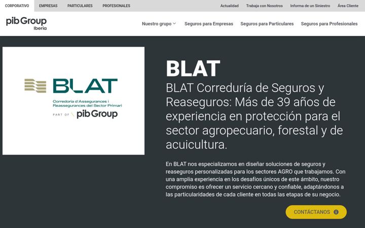 Screenshot of blatseguros.com