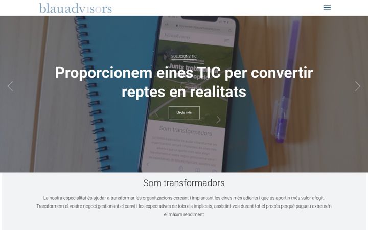 Screenshot van blauadvisors.com