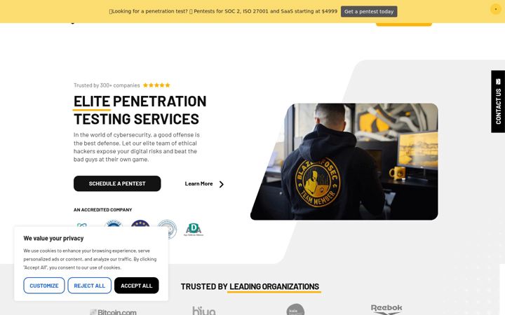 Screenshot of blazeinfosec.com
