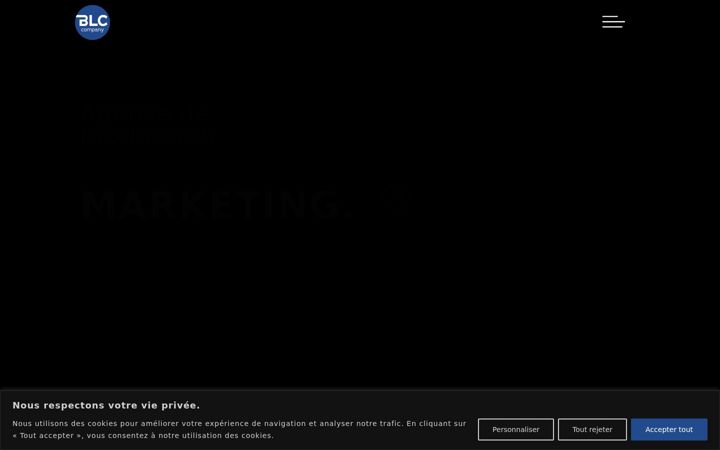 Screenshot of blc-company.fr