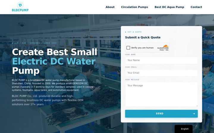 Screenshot of bldcpump.com
