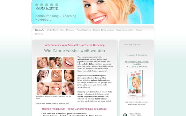 Screenshot of bleaching-heidelberg.de