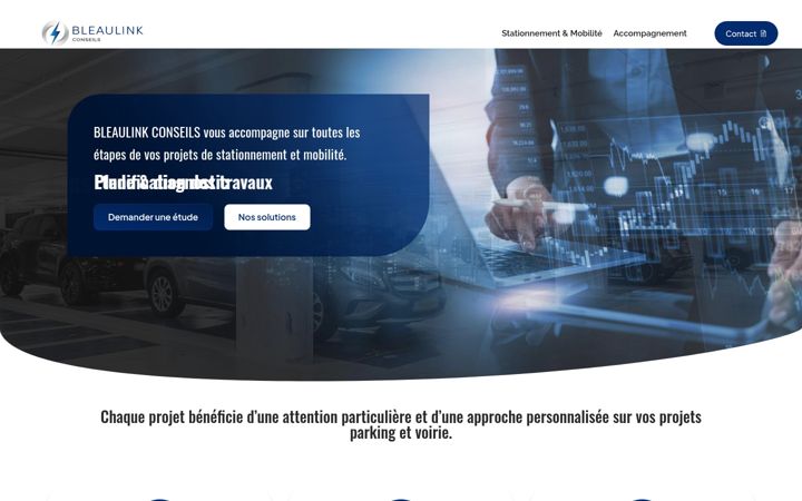 Capture d'écran de bleaulink-conseils.fr