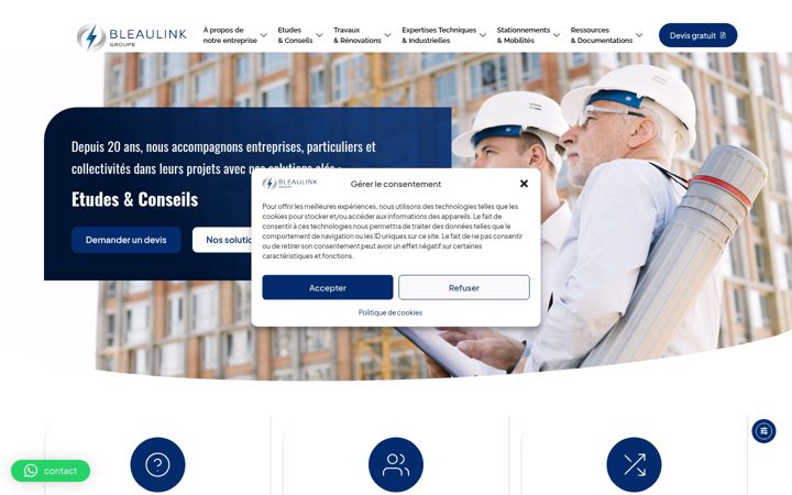 Screenshot of bleaulink.fr