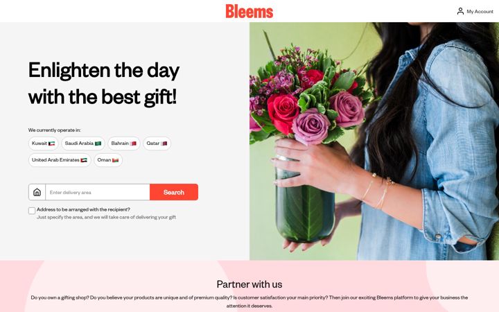 Screenshot of bleems.com