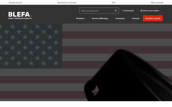 Screenshot of blefakegs.us