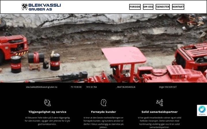 Screenshot of bleikvassli-gruber.no