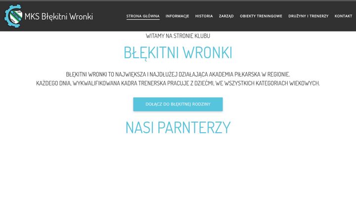 Skjermbilde av blekitniwronki.pl
