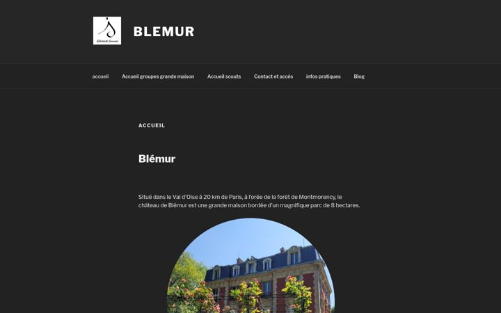 Screenshot of blemur.fr