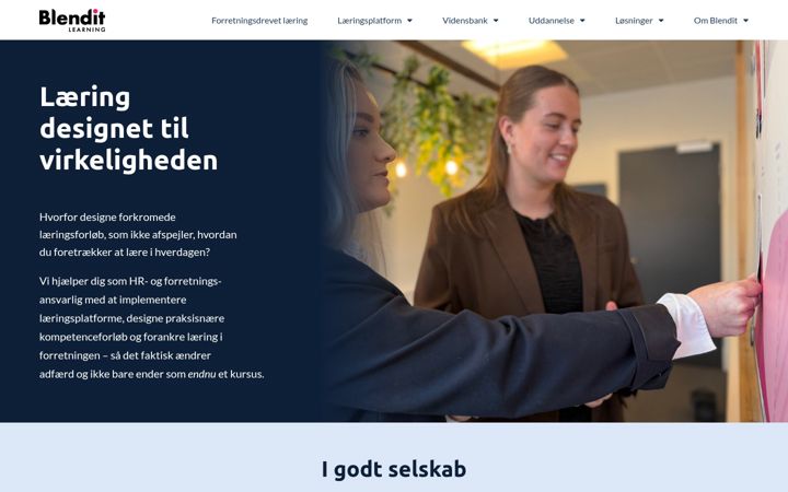 Screenshot του blenditlearning.dk