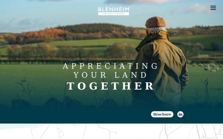 Screenshot of blenheimstrategicpartners.com