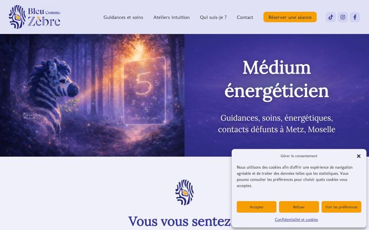 Screenshot of bleu-comme-zebre.fr