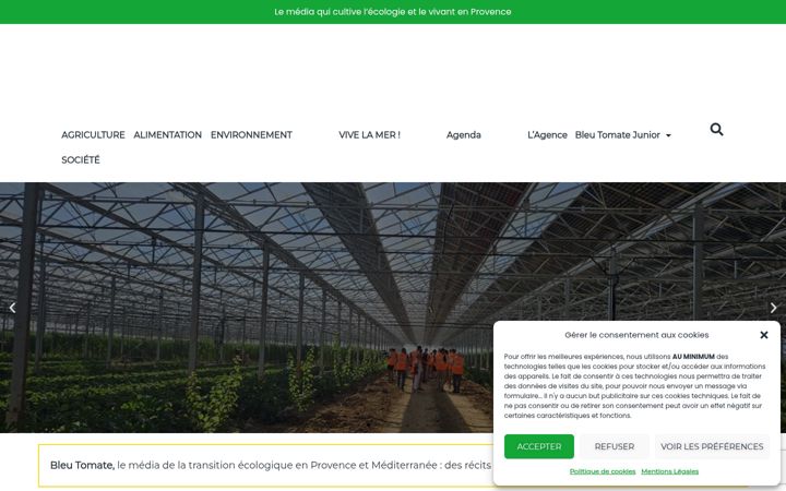 Képernyőkép: bleu-tomate.fr