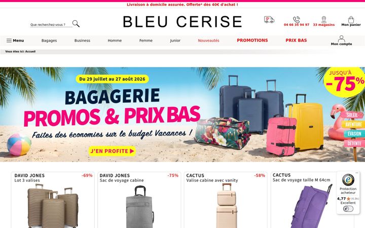 Screenshot of bleucerise.com