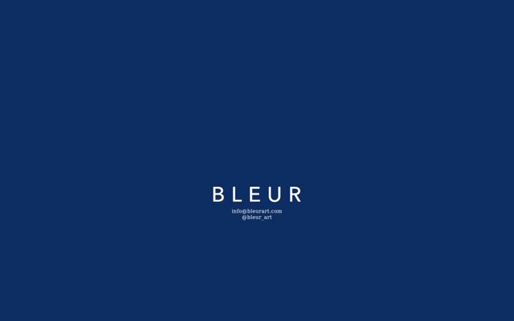 Screenshot of bleurart.com