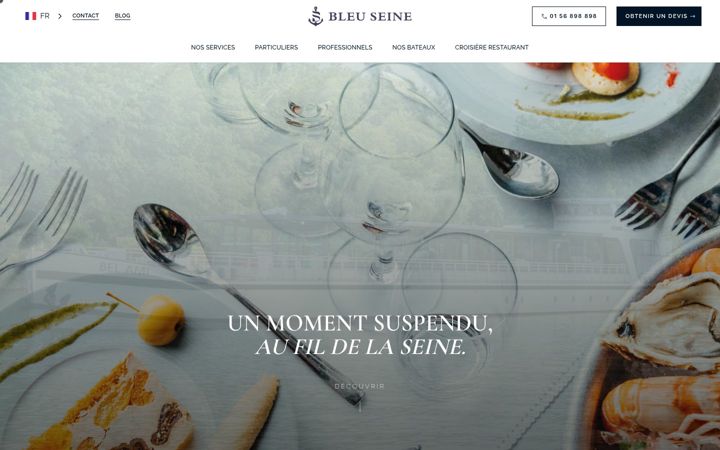 Zrzut ekranu bleuseine.com