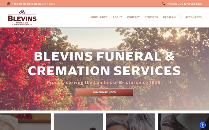 Screenshot of blevinscares.com