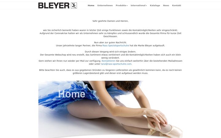 Screenshot of bleyergmbh.com