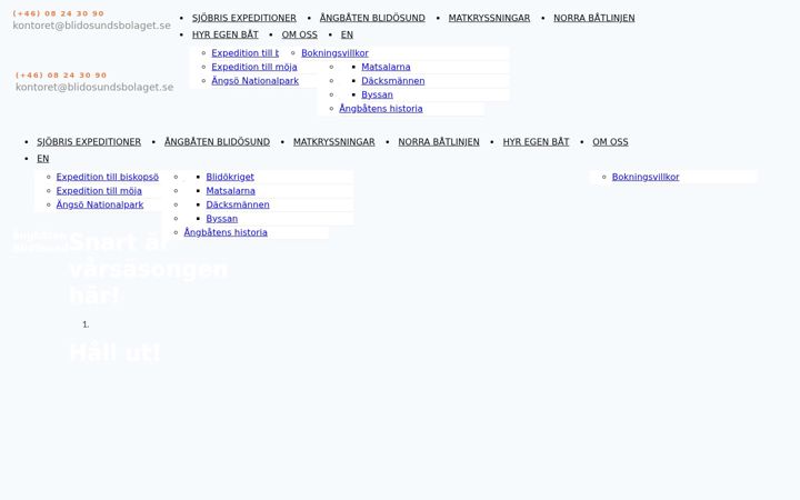 Screenshot di blidosund.se