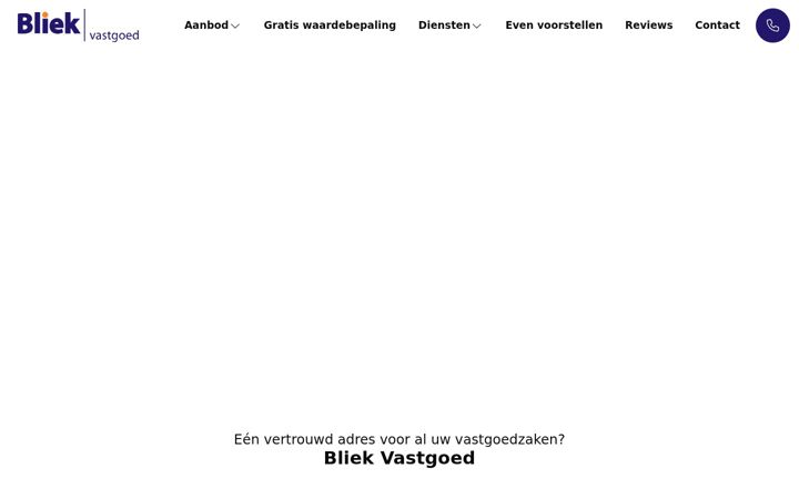 Screenshot του bliekvastgoed.nl