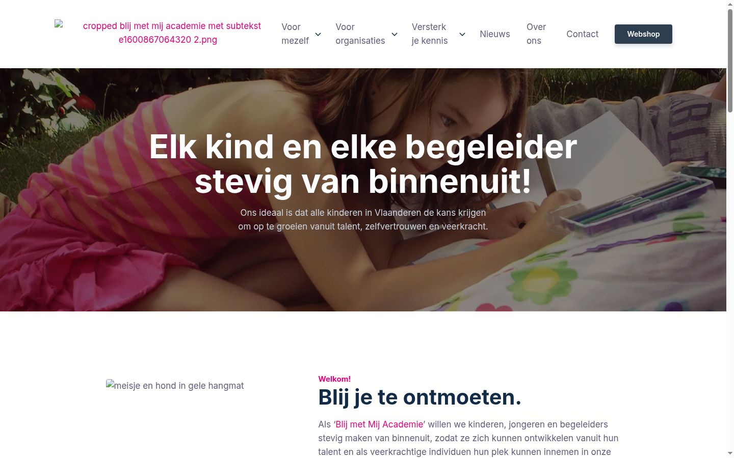 Sutikimo reklamjuostės, rodytos prieš bet kokią sąveiką, ekrano kopija