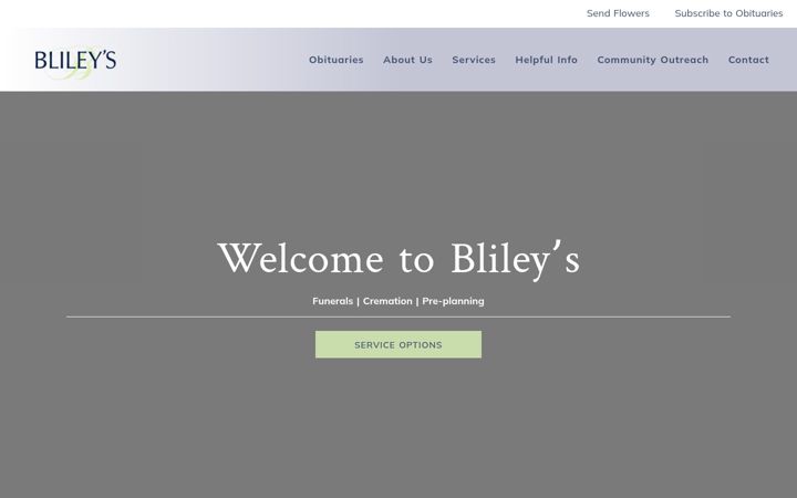 Screenshot of blileys.com