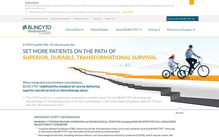 Screenshot of blincytorems.com