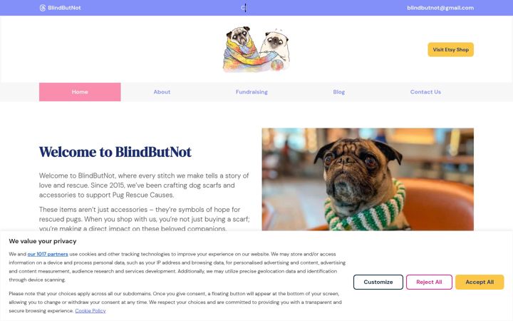 Screenshot of blindbutnot.com