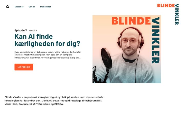 Captură de ecran a blindevinkler.dk