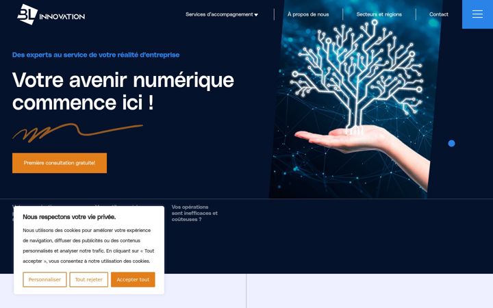 Zrzut ekranu blinnovation.ca