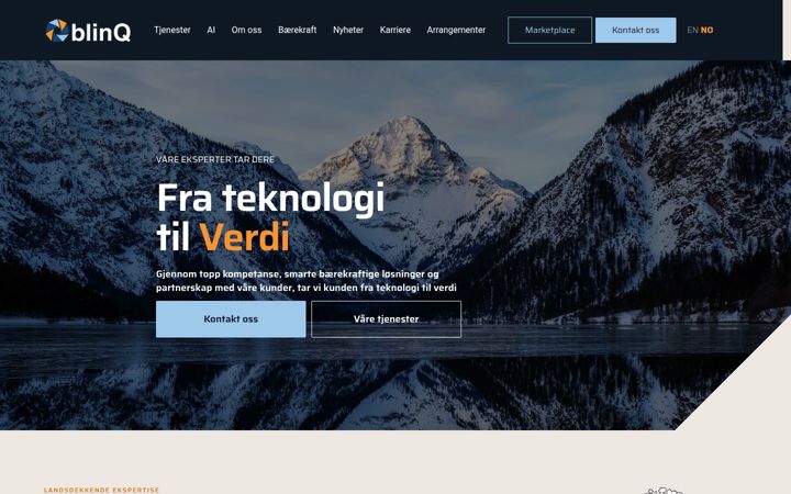 Zrzut ekranu blinq.no