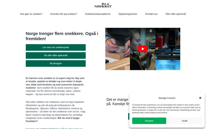 Screenshot of blisnekker.no