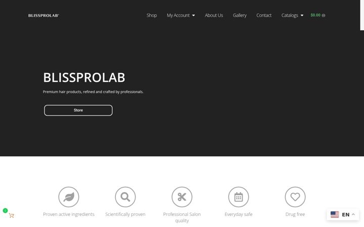 Screenshot of bliss-professional.com