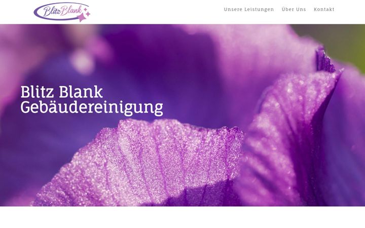 Zrzut ekranu blitz-blank-reinigung.de