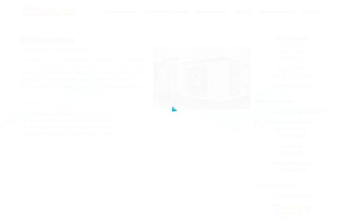 Screenshot of blitz-reinigung.info