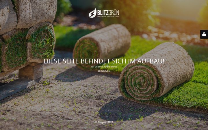 Screenshot of blitzgruen.de