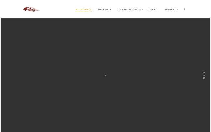 Screenshot van blitzlichtgewitter-elbe.de