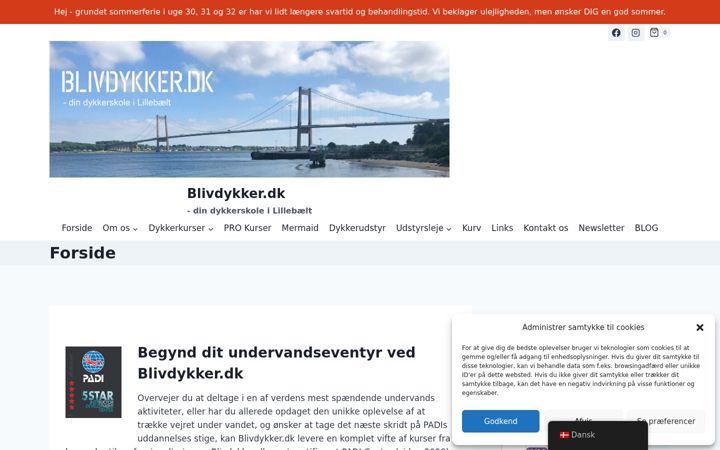 Snímek obrazovky blivdykker.dk