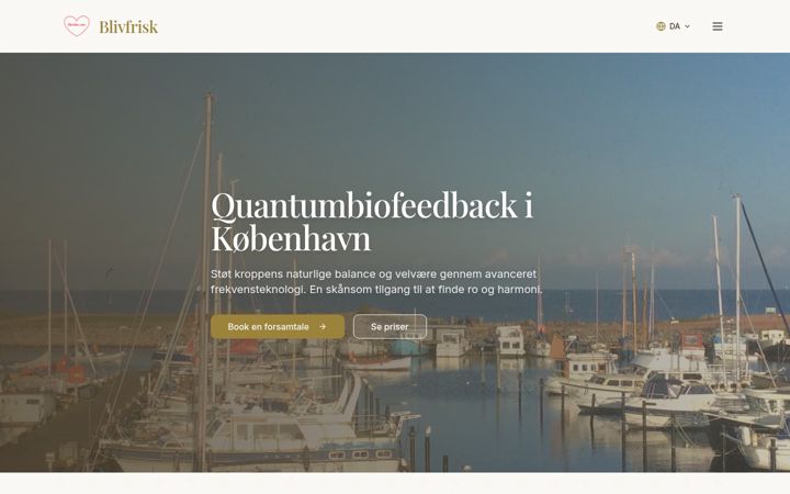 Screenshot of blivfrisk.com
