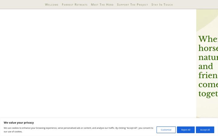 Screenshot of blixtenandfriends.com