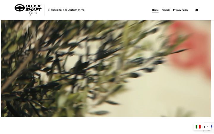 Screenshot of blockshaftgroup.it